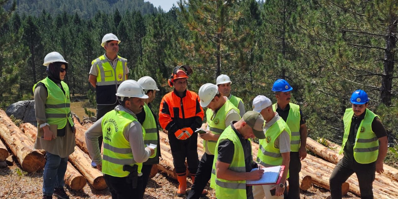 Konya’nın ormanlarına uluslararası not