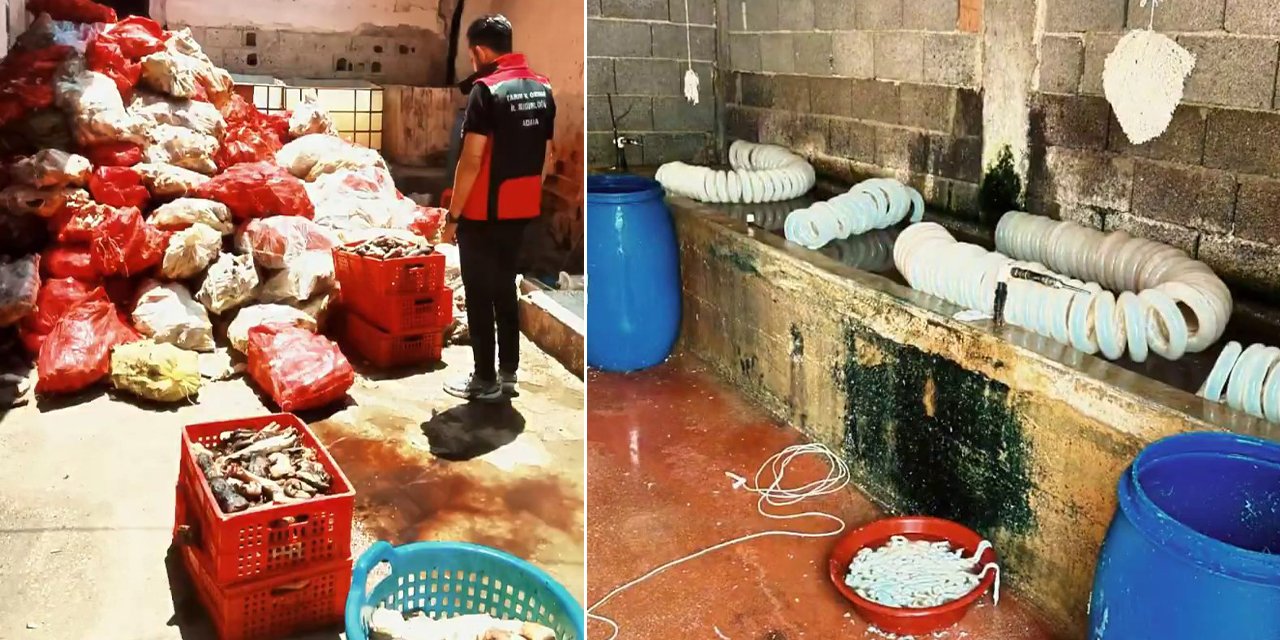 Şırdanın başkentinde mide bulandıran görüntüler