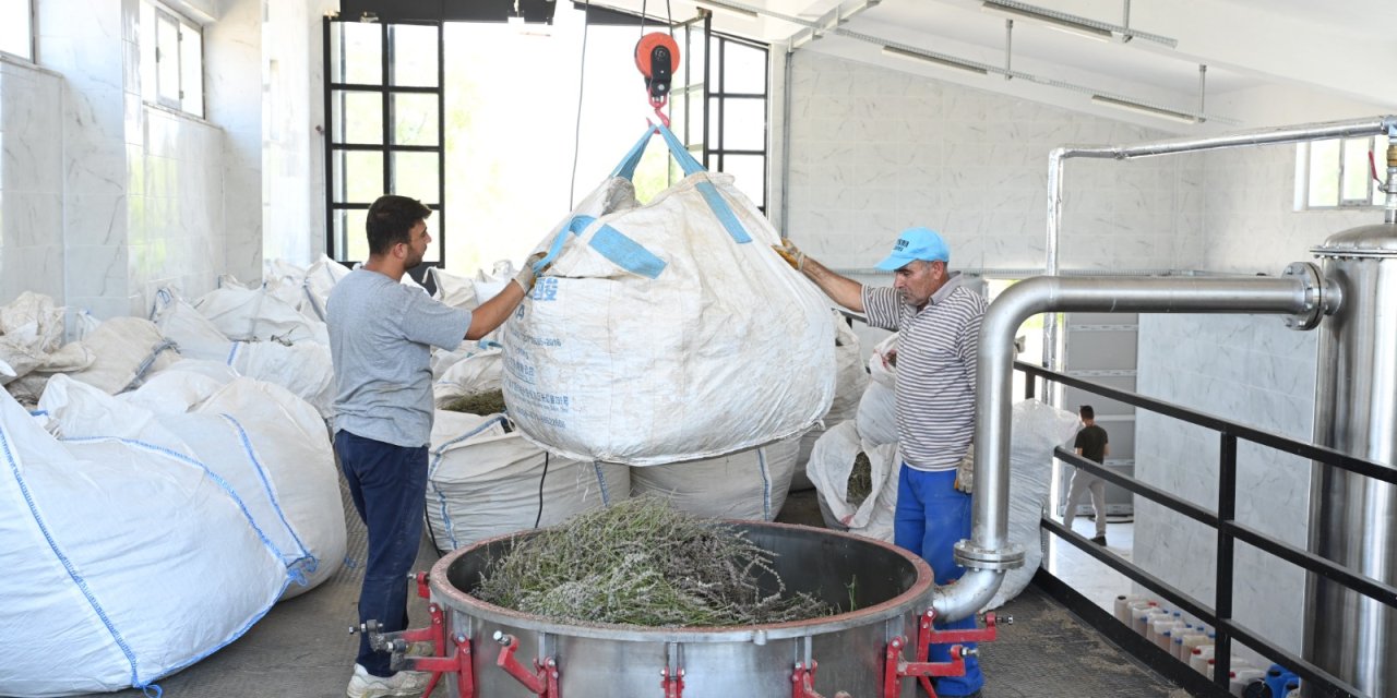 Konya'nın yerli markası çiftçinin cebini dolduruyor