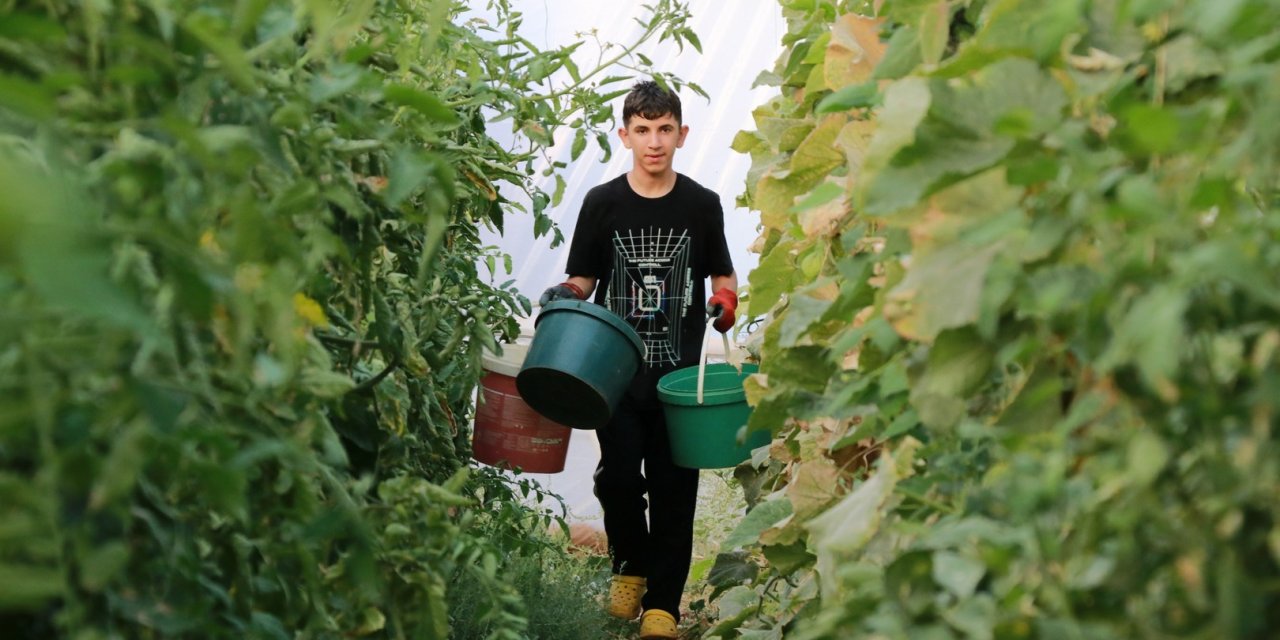 Konya’nın kiraz cenneti bu yıl parayı farklı bir üründe buldu