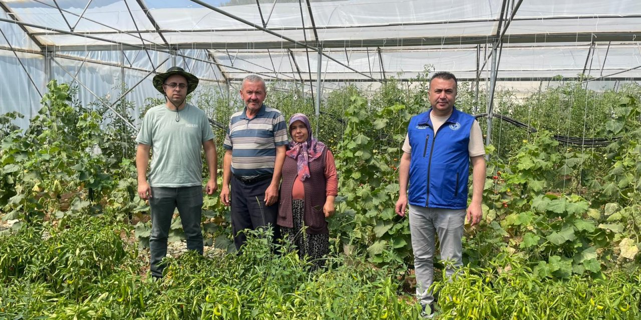 Konya'da artan seracılık meyvelerini veriyor