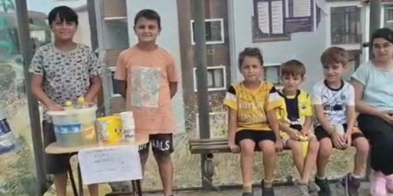 Minik yüreklerden büyük destek! Fidan dikmek için limonata sattılar