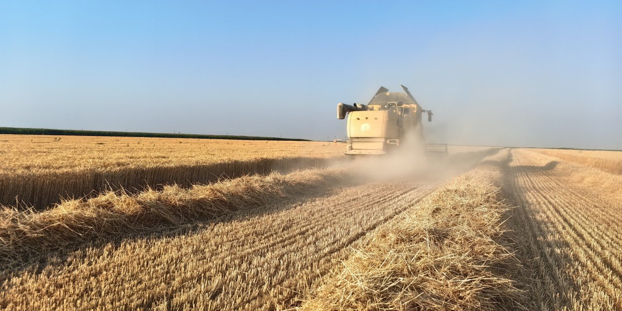 Tarlada değil, depoda hasat! Konya Ovası’nda ne oluyor?