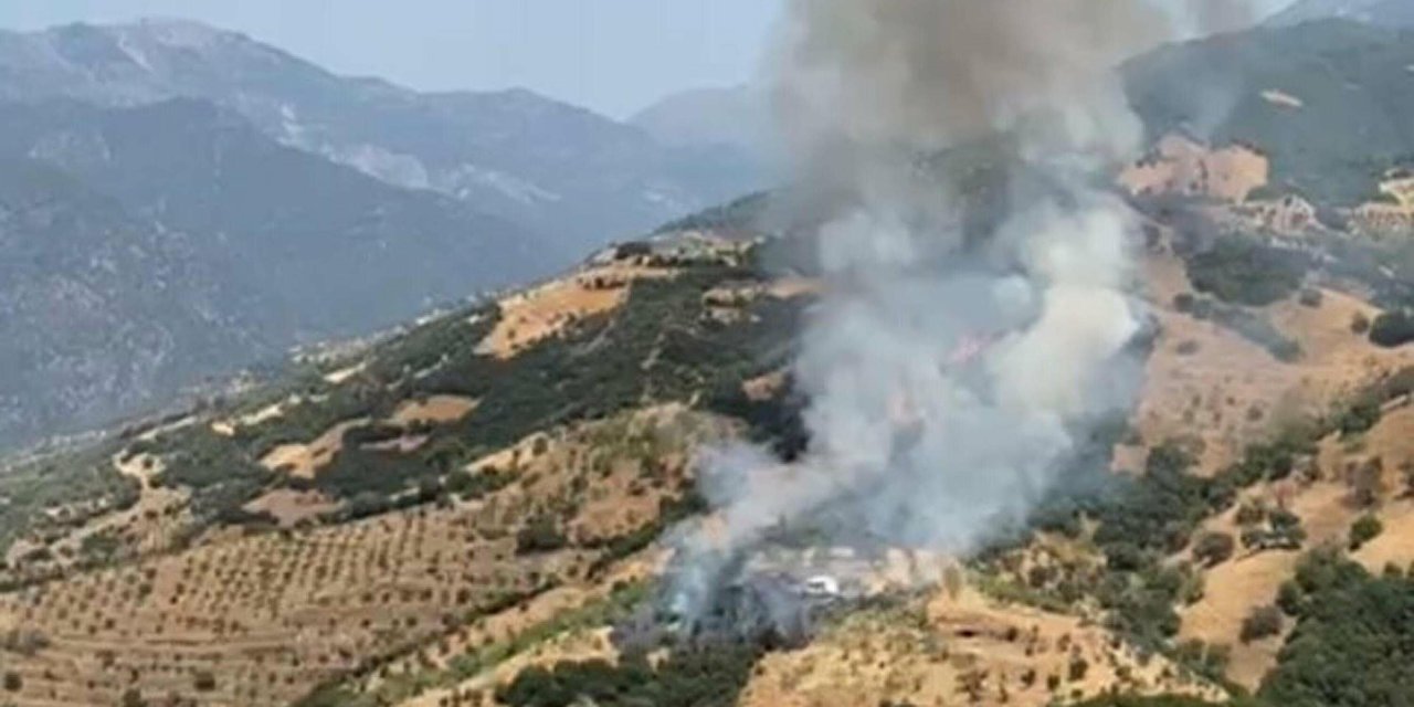 Tarlayı ucuza sattı, gelini ateşe verdi