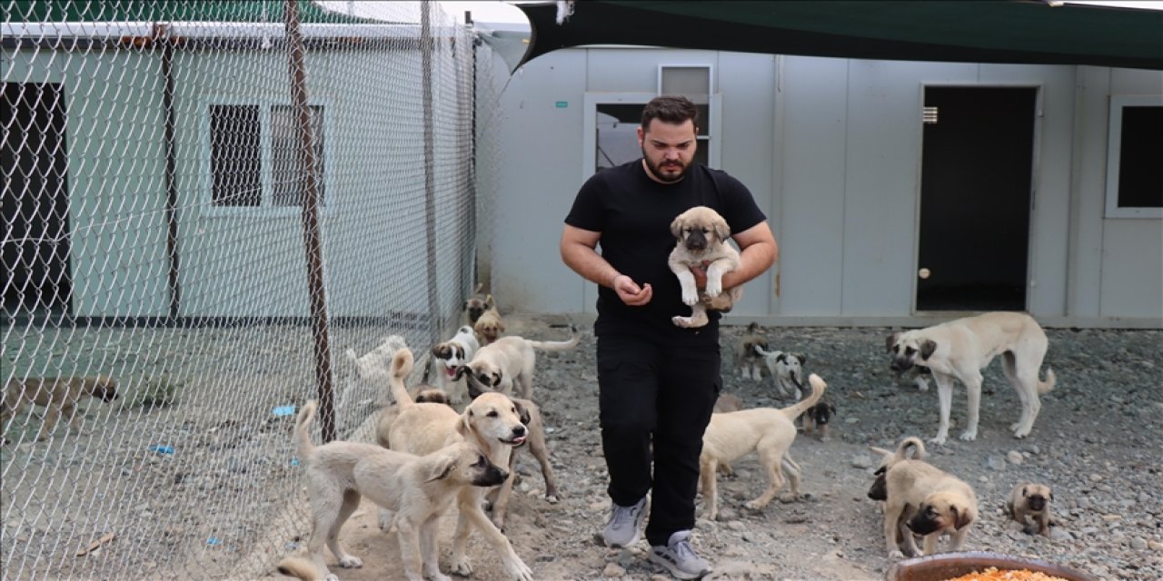 Atık gıdalar sokak hayvanlarına umut oluyor