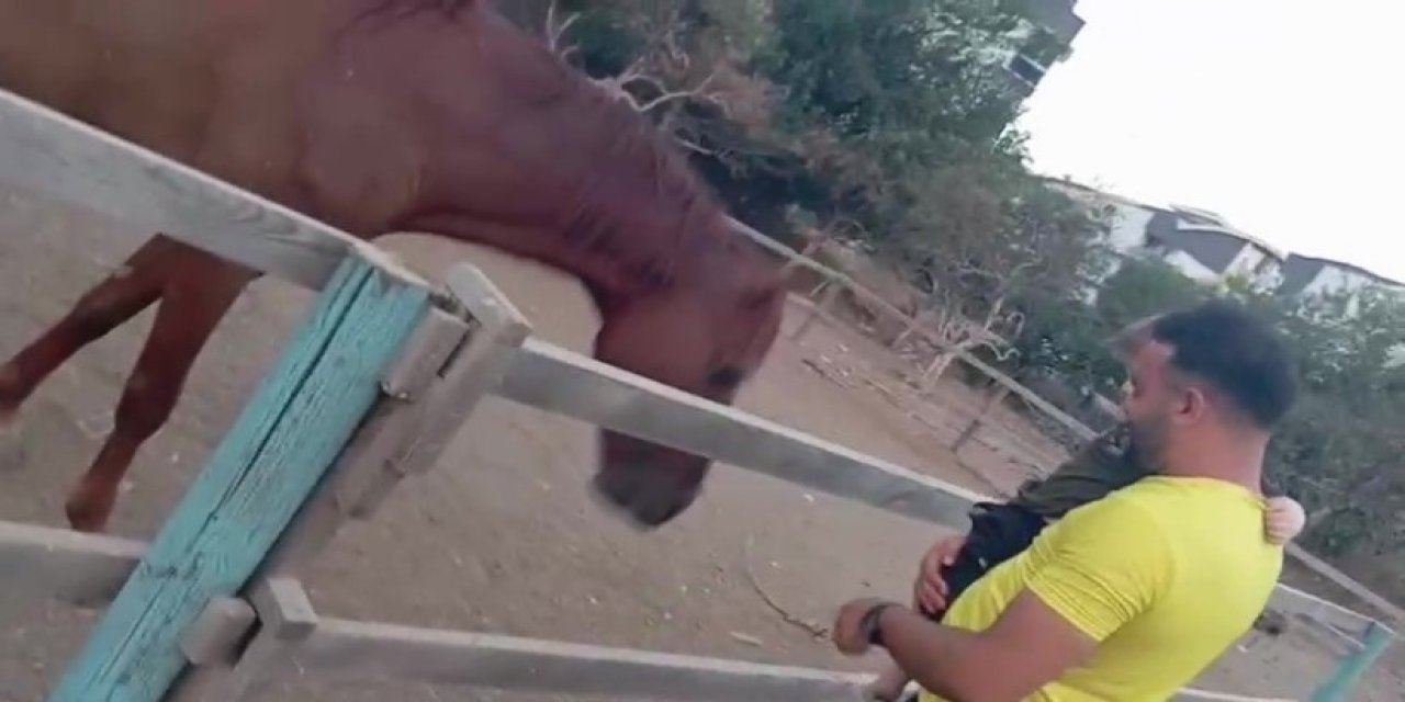At çocuğu ısırıp havaya fırlattı! Korku dolu anlar kamerada