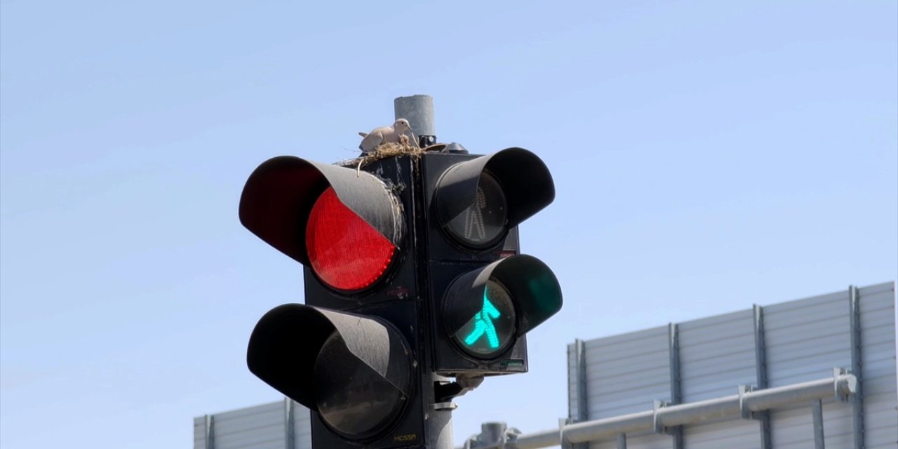 Konya yolundaki trafik ışıklarında aile saadeti