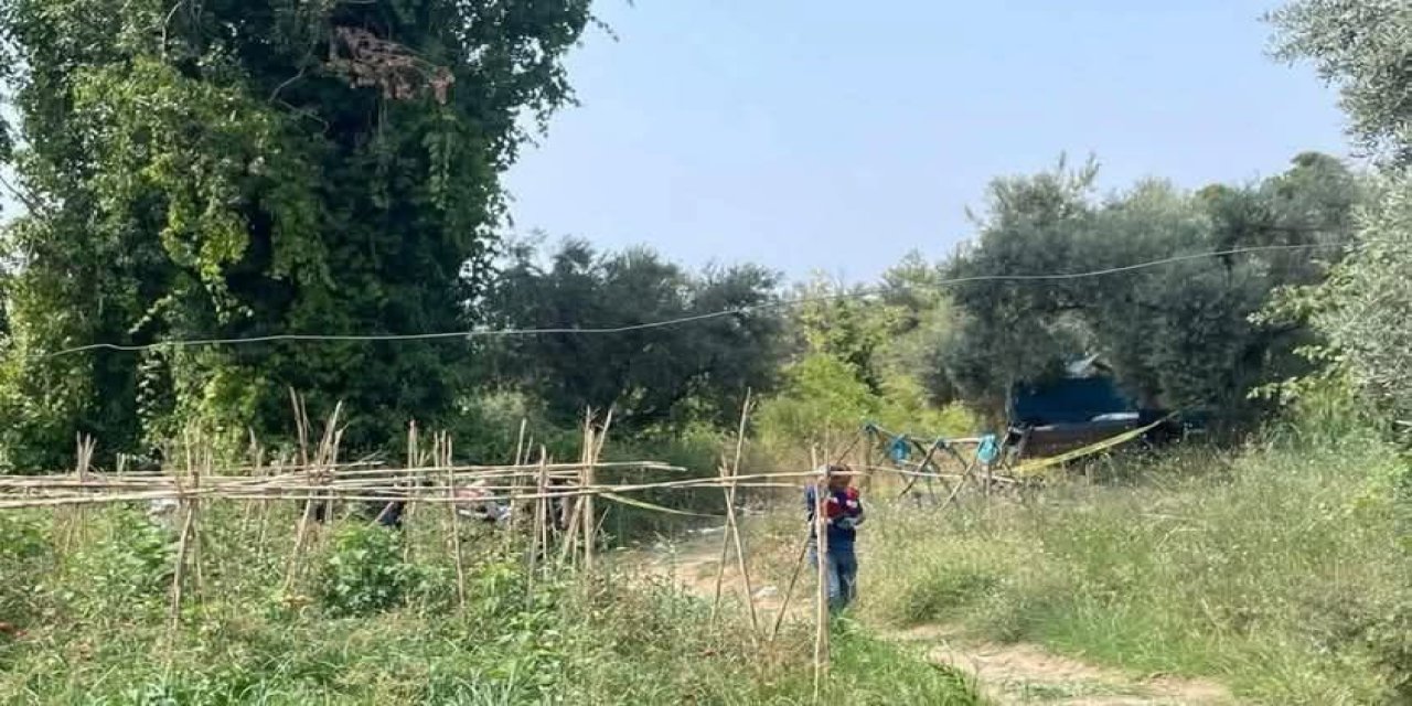 Bahçesini domuzlardan korumak için çıktı, cesedi bulundu