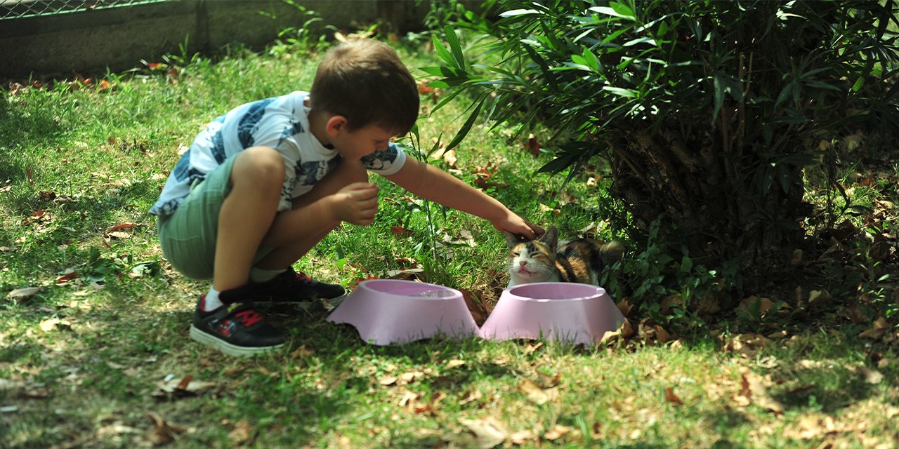 6 yaşındaki Dorukhan her gün takipçisi kadar hayvan besliyor