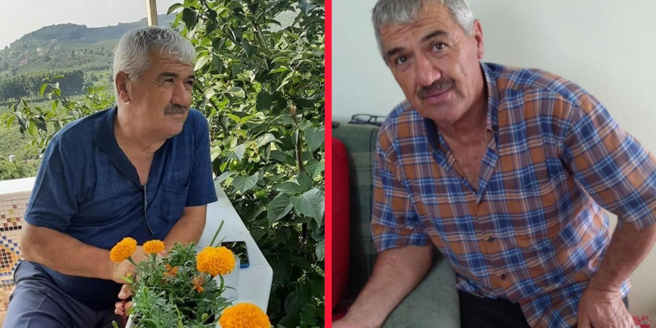 Çıktığı erik ağacı yaşlı adamın sonu oldu