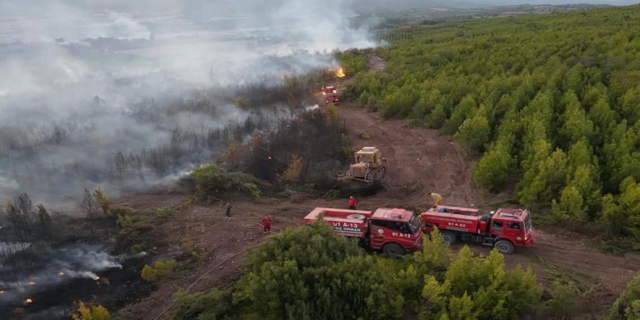 Orman yangınından acı haber! 1 şehit, 4 yaralı var