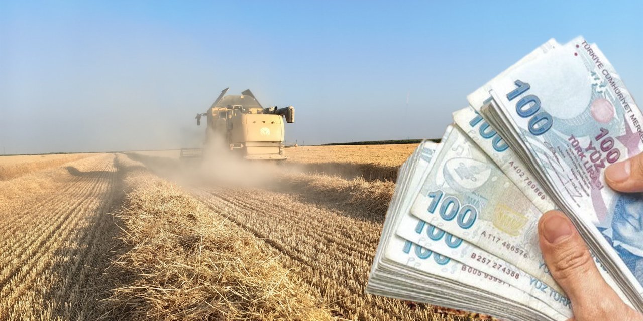 Konyalılar hasadı kaldırdı, yatırımını akıllıca yaptı