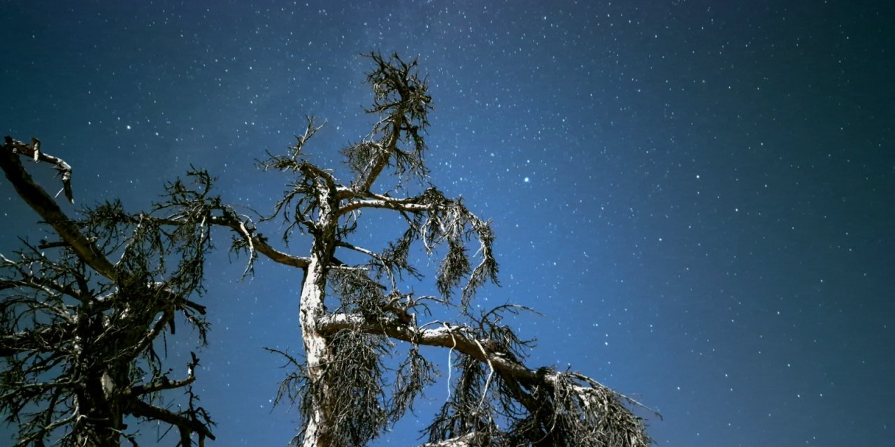 Gökyüzünün sırları Meram'da açığa çıktı