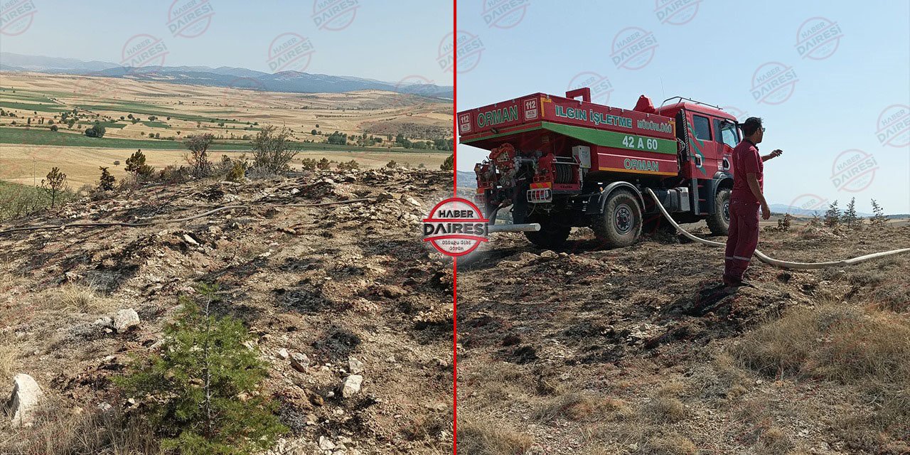 Konya’da anız yangını yine ormanı yaktı