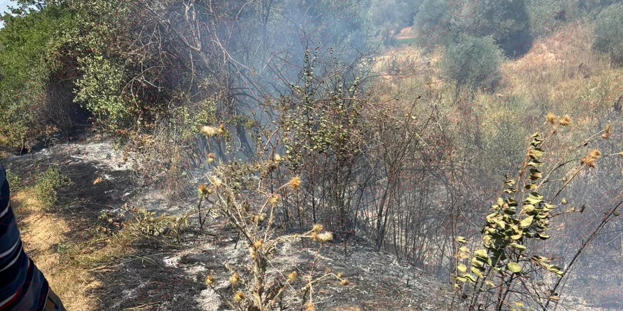 Konya Ilgın’da aynı gün ikinci orman yangını çıktı