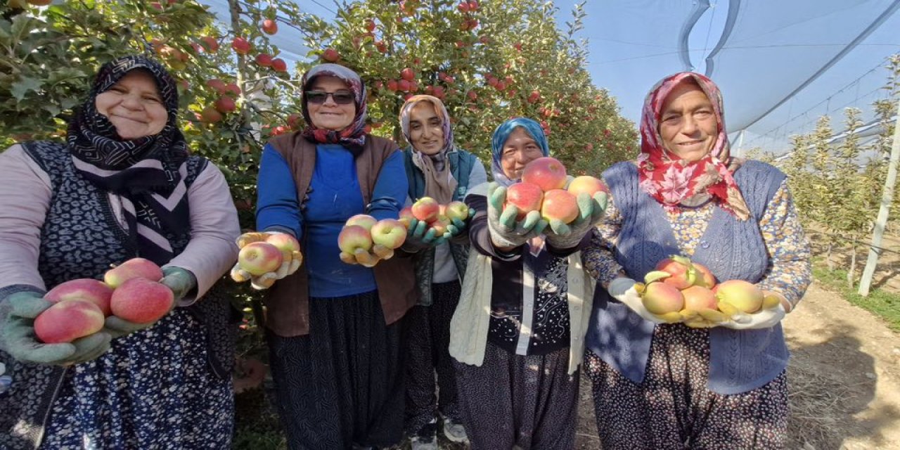 2025, meyvede kayıp yıl olarak tarihe geçti