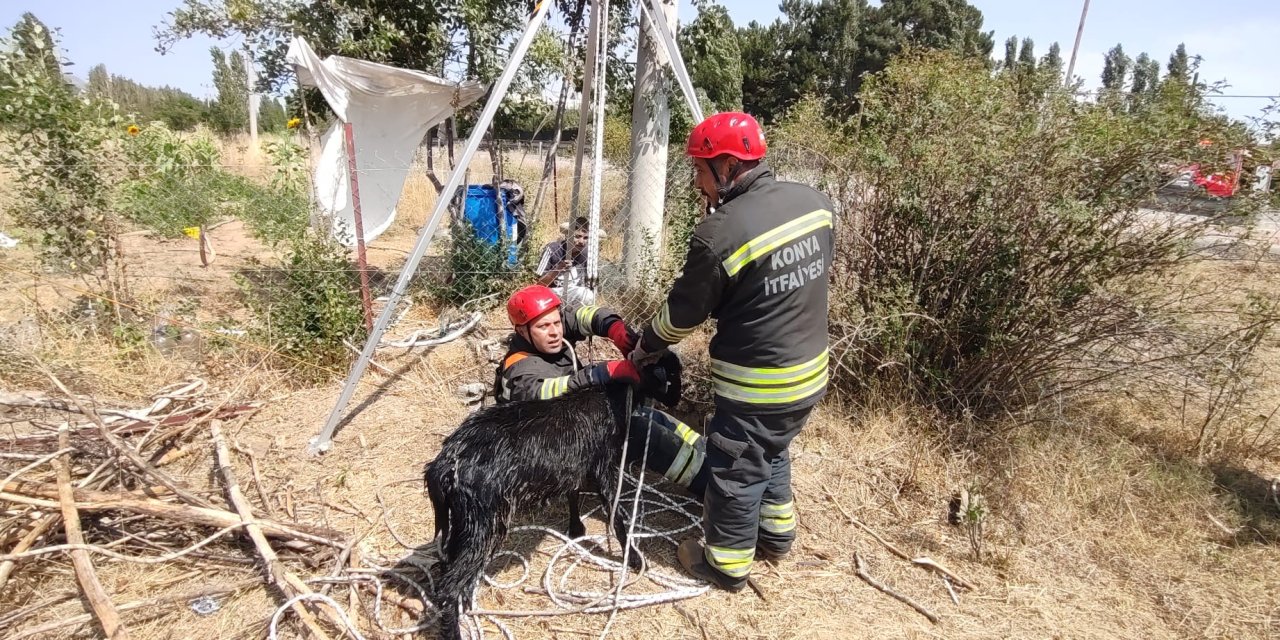 Konya’da kuyuya düşen keçi, itfaiye operasyonuyla hayata döndü