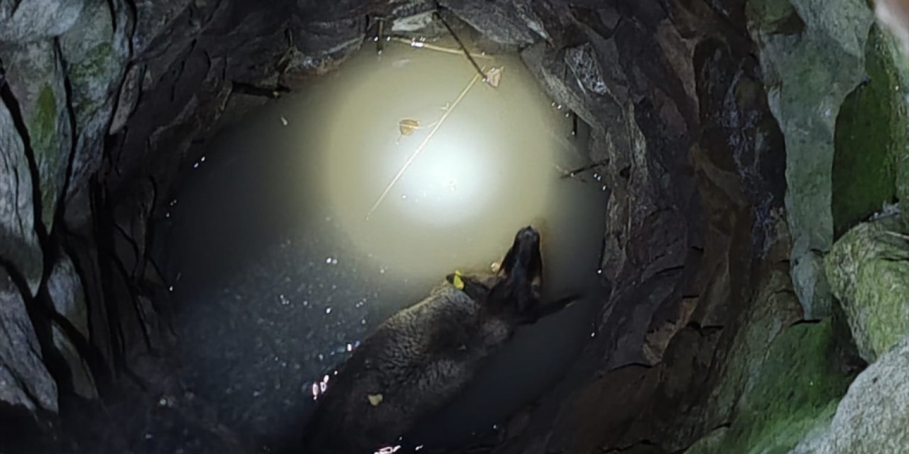 Konya'da ekipler koyun için seferber oldu