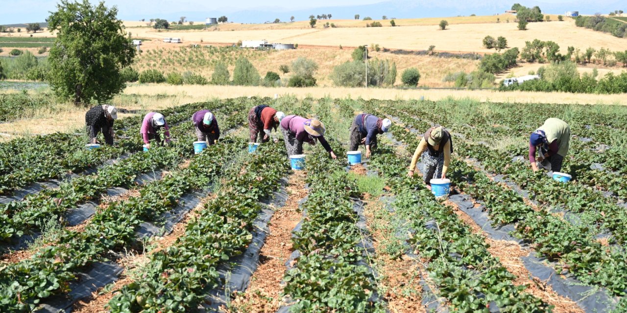 Konya’nın tarım kenti ilçesi Hüyük 2026 işçi ücretlerini belirledi