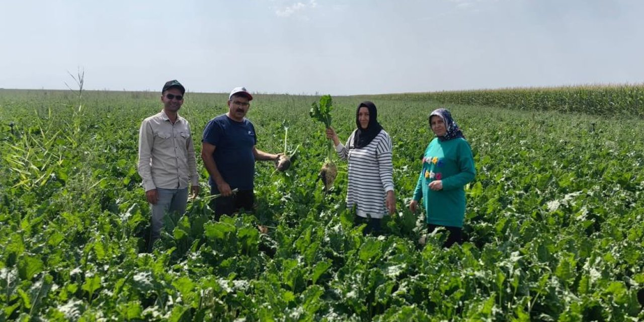 Konya ovasında baharlık ürünler denetlendi