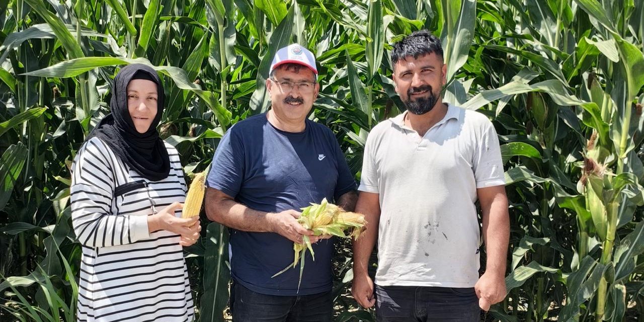 Konya’da üreticiyi güldüren üründe zararlı alarmı