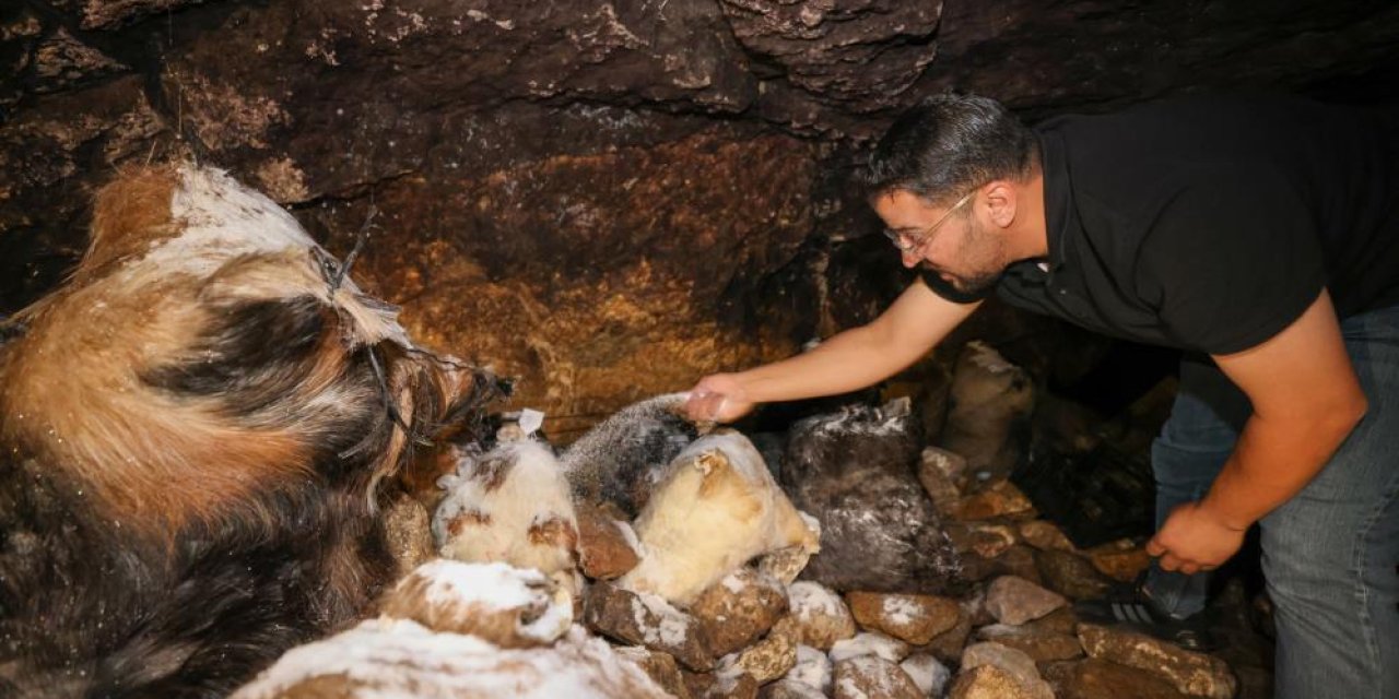 Konya’nın şifalı ürününde mağaradan sofraya yolculuk başlıyor