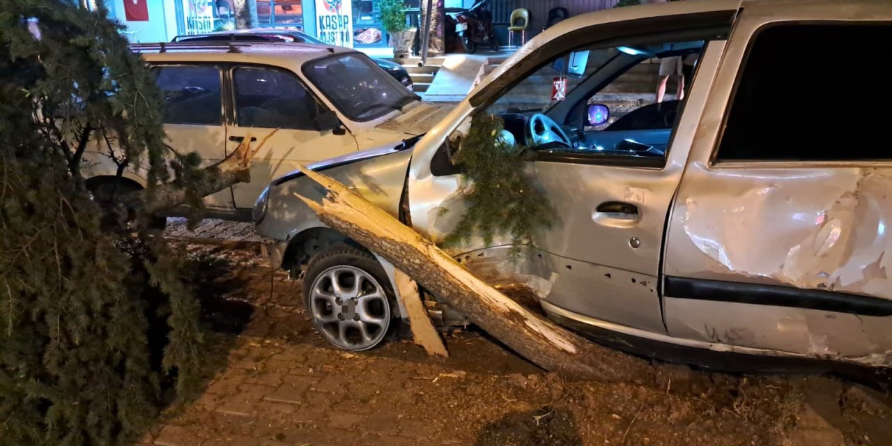 Kontrolden çıkan otomobil, önüne kattığını biçti