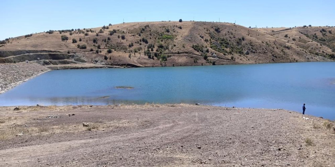 Kuzenini kurtarmak isterken canından oldu