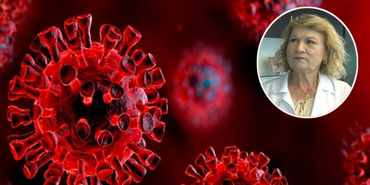 Uzman Gülay Kılıç'tan Chikunguya virüsü için açıklama geldi