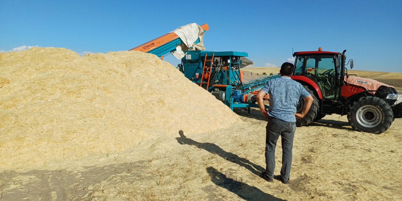 Geçen yıl çürüyen saman bu yıl altın değerinde