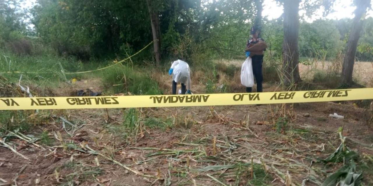 Kayıp adamın kemikleri mısır tarlasında bulundu