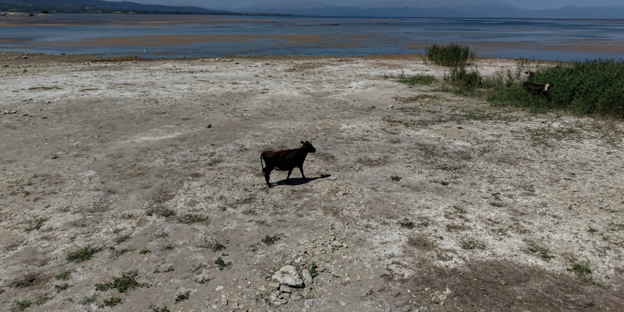 Türkiye’nin başı sağ olsun! Konya'nın can damarı öldü