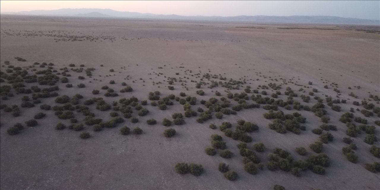 Konya'nın kuruyan gölü için harekete geçildi