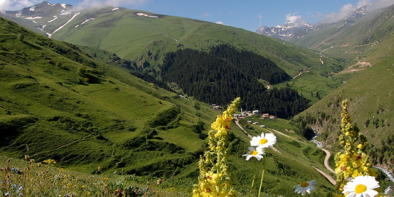 Ağzının tadını bilen değil parası olan yiyebiliyor! Kilosu 6 bin TL