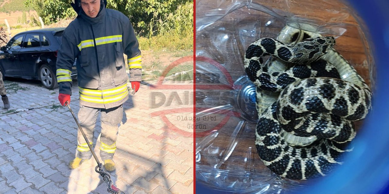 Konya’da evine giren vatandaş bununla karşılaştı