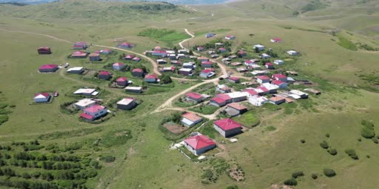 İmeceyle geleceğe yeşil miras: Bozkır ormana dönüştü