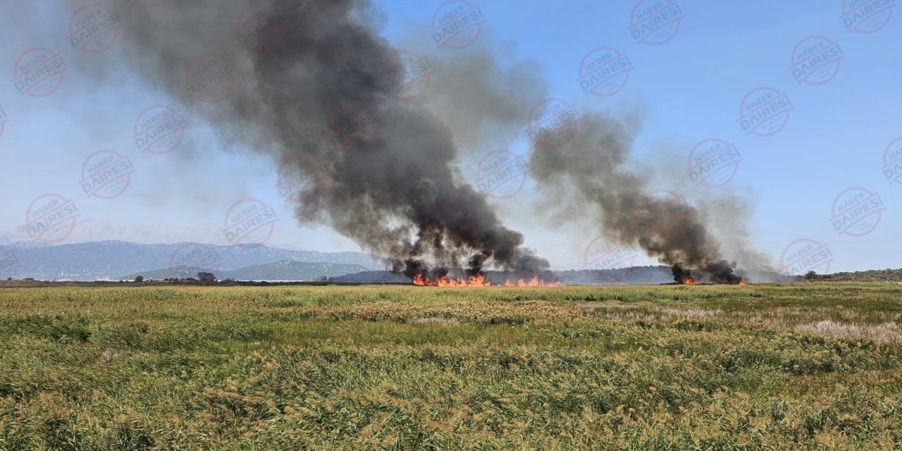Konya’da 200 yabani atın bulunduğu ada yakınlarında yangın paniği