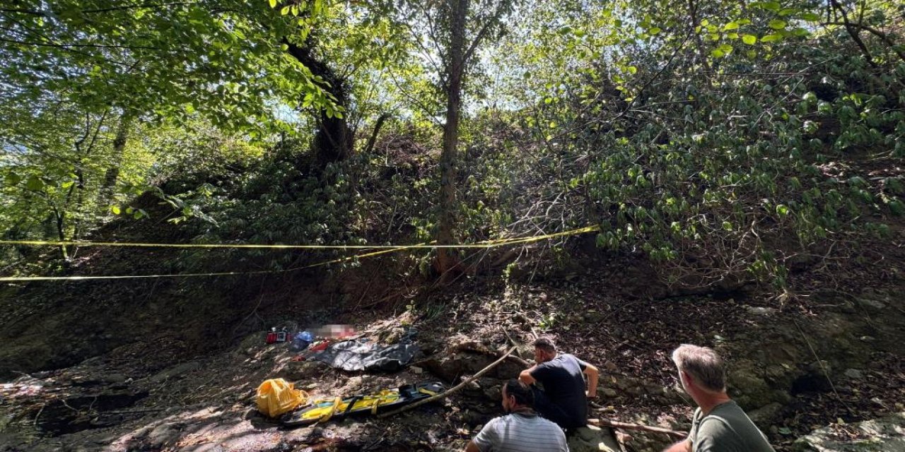 Fındık toplayan adam canından oldu