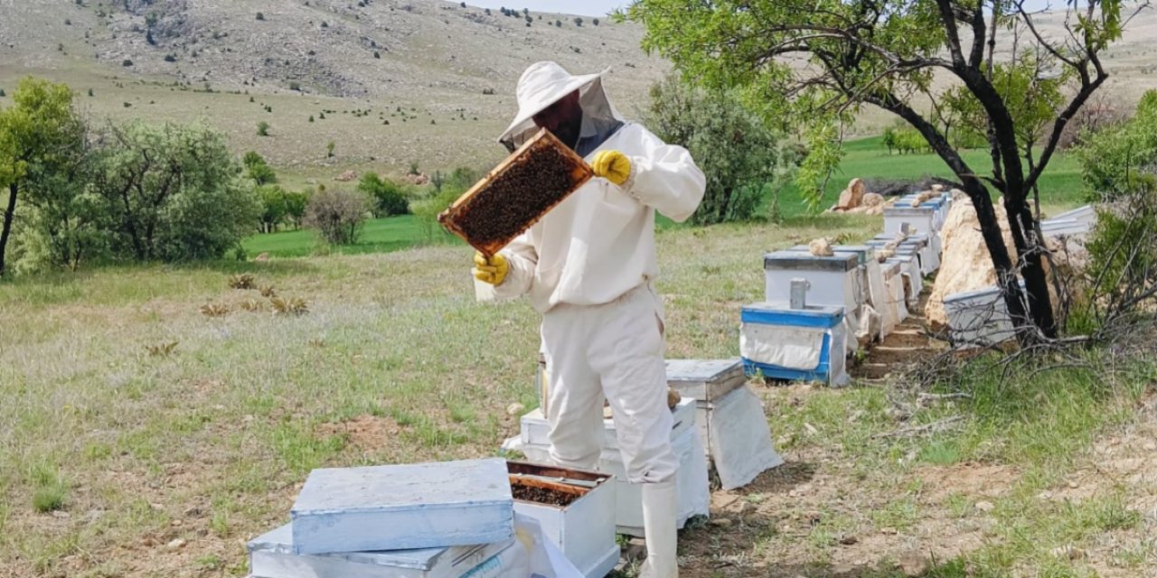 Konya’nın eşsiz yayla yolculuğu tatlı şifaya döndü