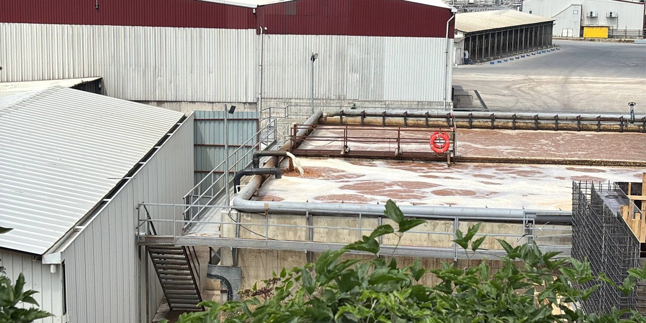 Tavuk fabrikasının pisliği, köylülere kabusu yaşatıyor