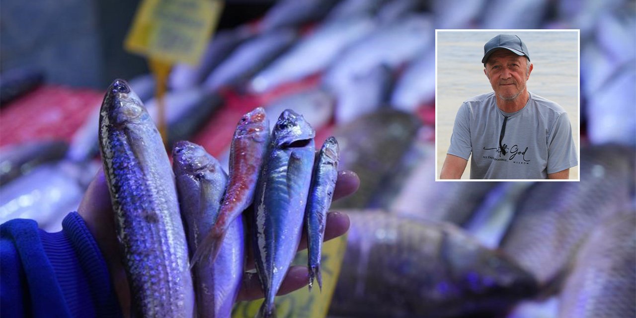 Denizden müjde! Hamsi ve istavritte rekor bolluk bekleniyor