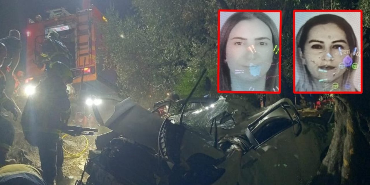 Ölen köpeğe çarpmamak için zeytin tarlasına uçtu: 2 ölü, 1 yaralı