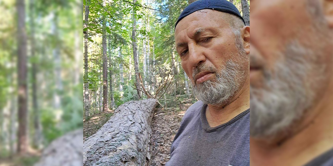 Ayağına tomruk düştü, ambulansta kalp krizi geçirip öldü