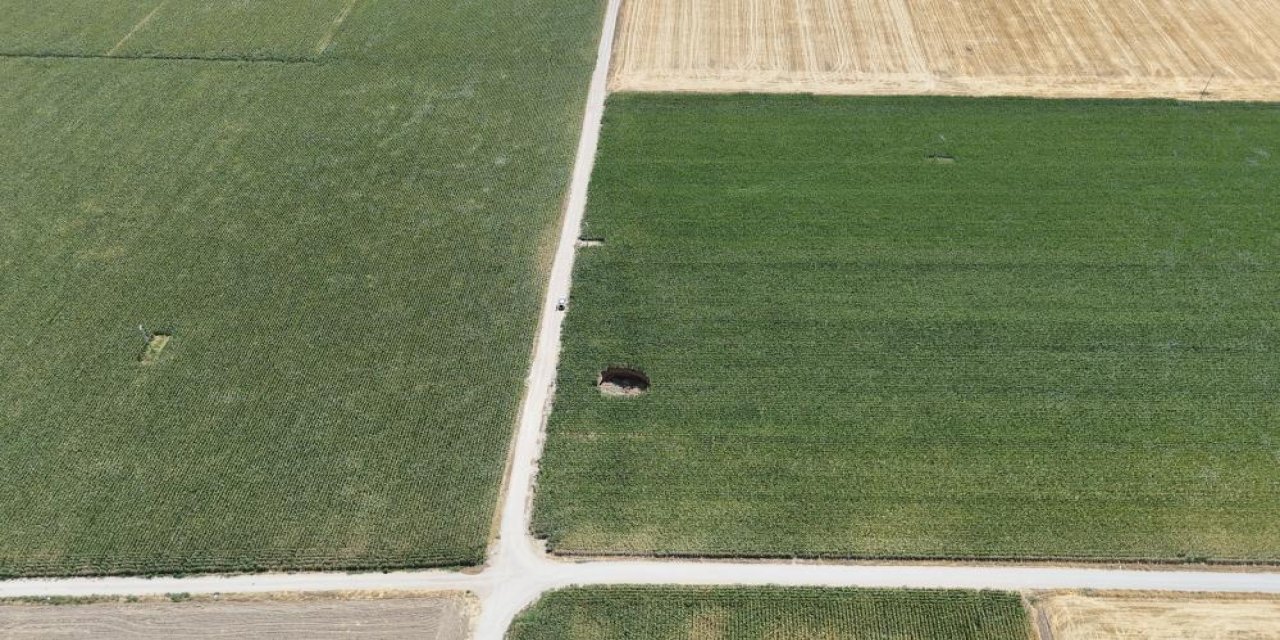 Konya’da başlayan tehlike hızla yayılıyor! Mısır tarlasında görüldü