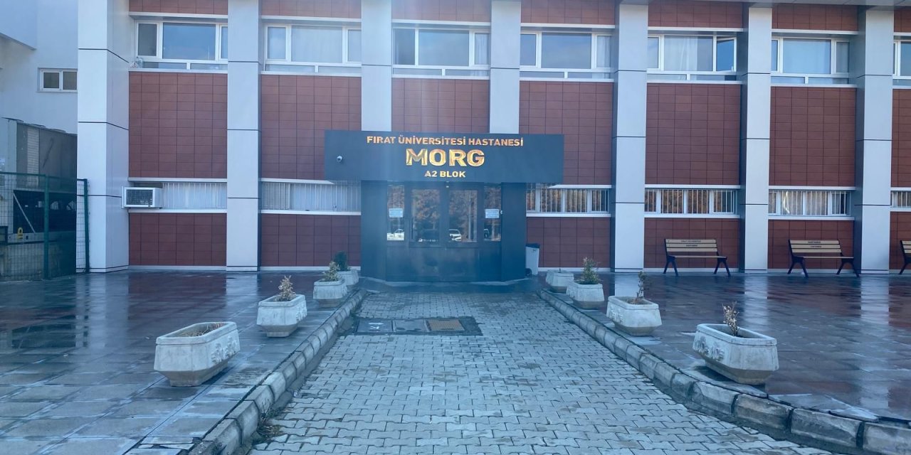 Kaçan eşeğin yuları boynuna dolanan minik Meryem öldü