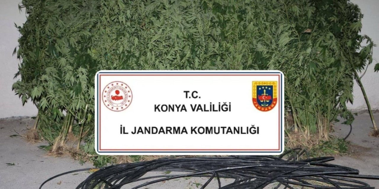 Konya’da jandarma 3 ilçede uyuşturucu baskını yaptı