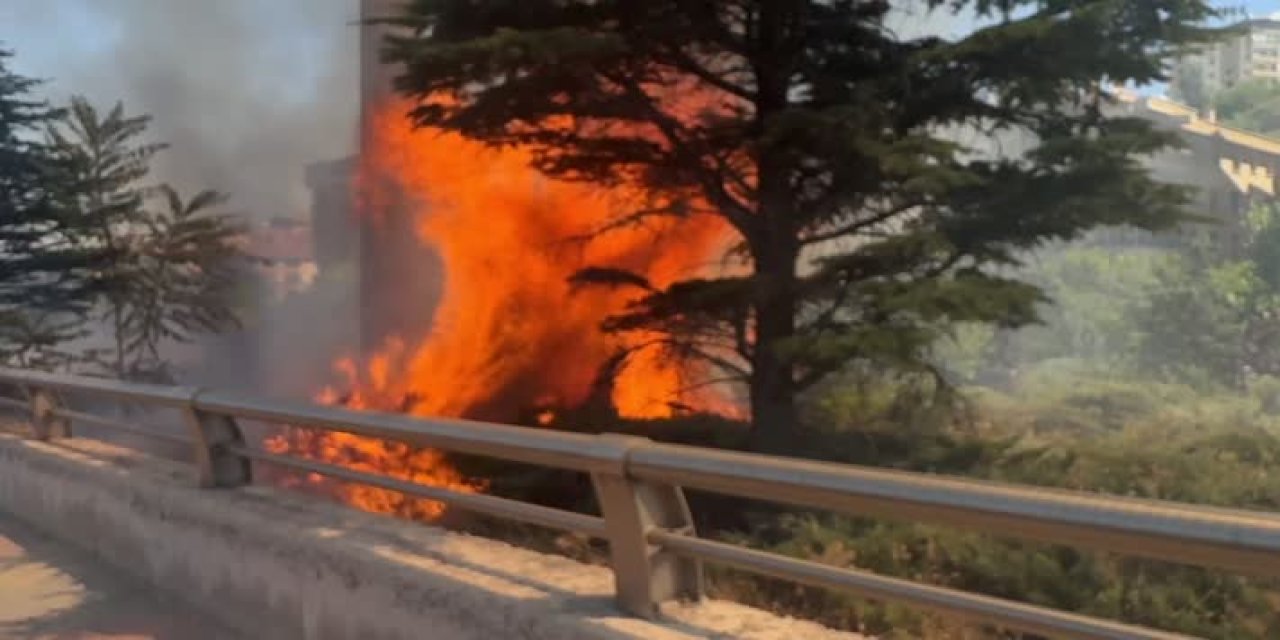 Konya yolu kenarındaki ağaçlık alanda çıkan yangın korkuttu