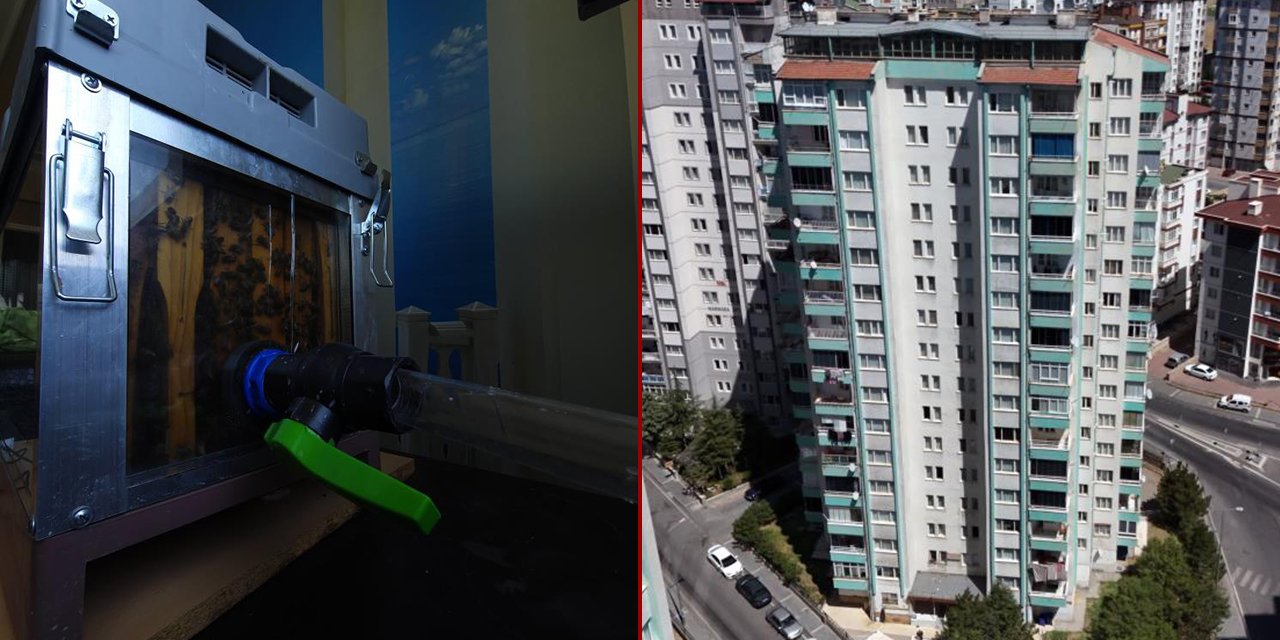 Şehir merkezine kurulan sistemi gören şaşkın! 15'inci kattan bal yolculuğu