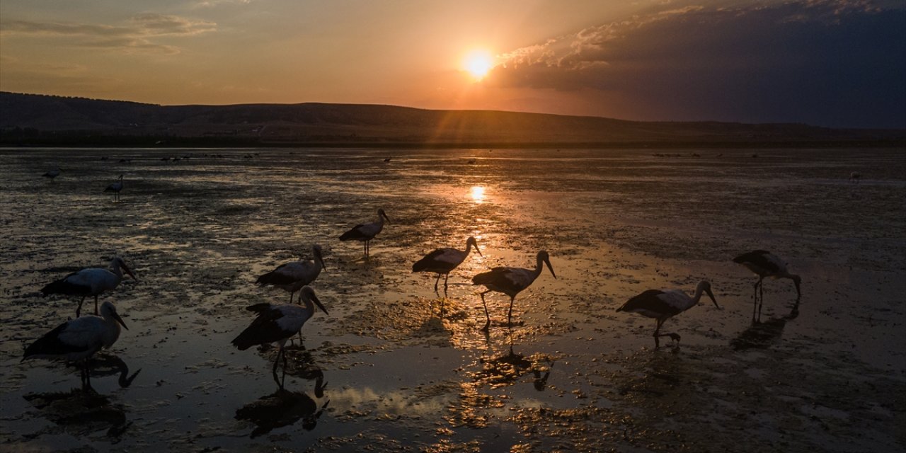 Gurbetçiler göç yolunda! Molayı Konya'da verdiler