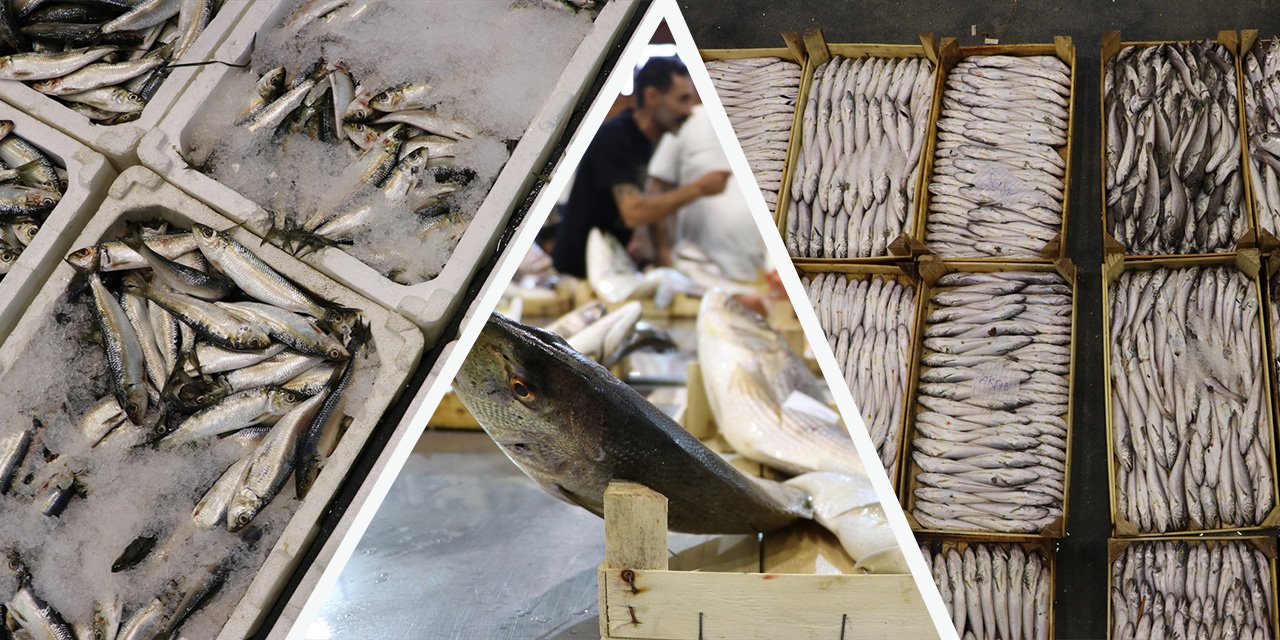 Derya kuzuları için “vira bismillah” denildi! Ağlar doldu, balıkçılar umutlu